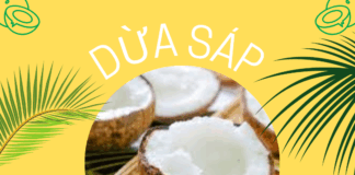 Dừa s&aacute;p