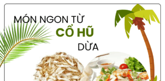 Cổ hũ dừa